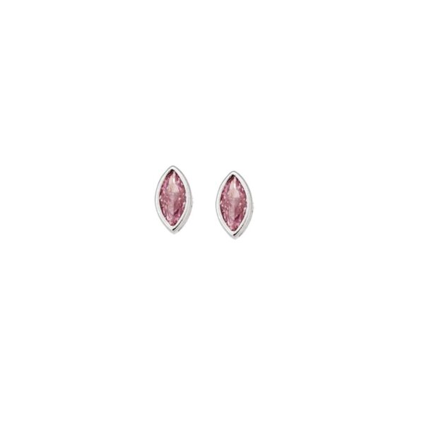 Σκουλαρίκια SENZA ασήμι 925, φύλλο με ροζ ζιργκόν