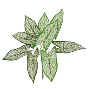 GloboStar® SYNGONIUM 78224 Τεχνητό Φυτό Συγγόνιο - Μπουκέτο Διακοσμητικών Φυτών - Κλαδιών με Φύλλωμα Πράσινο - Λευκό Υ37cm