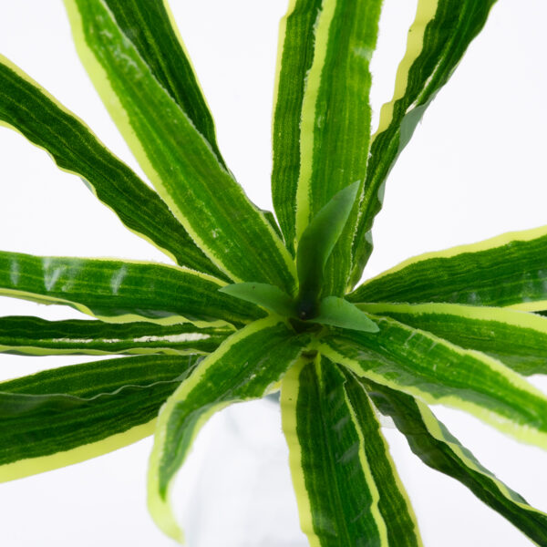 GloboStar® GREEN DRACAENA 78233 Τεχνητό Φυτό Δράκαινα Πράσινη - Μπουκέτο Διακοσμητικών Φυτών - Κλαδιών με Φύλλωμα Πράσινο Υ47cm