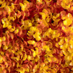 GloboStar® 78518 Artificial - Συνθετικό Τεχνητό Διακοσμητικό Φυτό Θάμνος Πυξάρι Πορτοκαλί - Κίτρινο Φ66cm