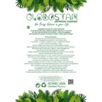 GloboStar® Artificial Garden MAPLE HANGING BRANCH 20243 Τεχνητό Διακοσμητικό Κρεμαστό Φυτό Σφένδαμος Υ80cm