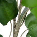 GloboStar® Artificial Garden POLYSCIAS BALFOURIANA TREE 20374 Τεχνητό Διακοσμητικό Φυτό Πολυσκιά Υ110cm