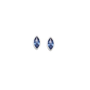 Σκουλαρίκια SENZA ασήμι 925, φύλλο με γαλάζιο ζιργκόν