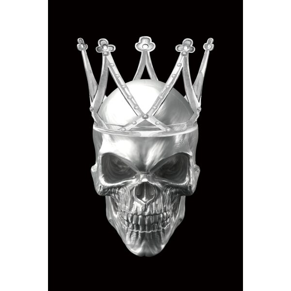 ΕΙΚΟΝΑ SKULL II 80X120 DIOMMI SKULLII80