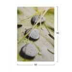 ΠΙΝΑΚΑΣ ΚΑΜΒΑΣ STONES HM7154.10 60X90X2.5 εκ. (1 Τεμμάχια)