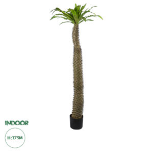 GloboStar® Artificial Garden PACHYPODIUM LAMEREI PALM TREE 20130 Τεχνητό Διακοσμητικό Φυτό Φοίνικας της Μαγαδασκάρης Υ175cm