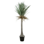 GloboStar® Artificial Garden BEAUCARNEA PALM TREE 20047 Τεχνητό Διακοσμητικό Φυτό Κυρτόφυλλος Μπουκαρνέα Υ200cm