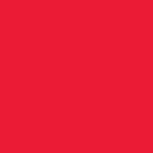 Χαρτόνι κολάζ κόκκινο 21x29,7εκ. 220γρ. (100τεμ.)  τμχ.