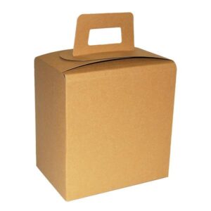 Next τσάντα-κουτί δώρου/φαγητού Οικολογικό Medium Υ18x17x12εκ. 10 τμχ.