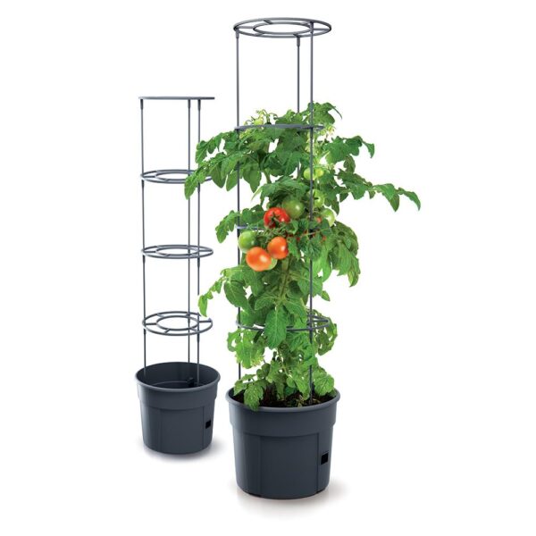 Γλαστράκι Tomato Grower, Y31,5x∅39,2εκ  τμχ.