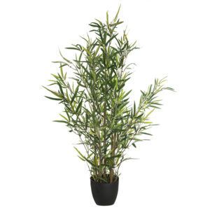 Φυτό σε γλάστρα Green10 pakoworld 63x55x90εκ (1 τεμάχια)